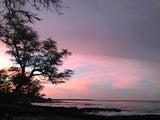 Silhouetted trees frame a vibrant purple and pink sunset over a rocky ocean coast. Perfect backdrop for an RV rental trip.