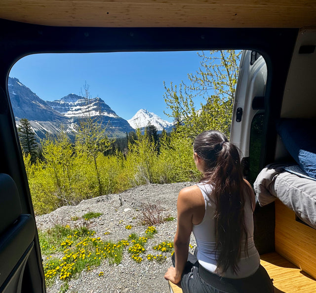 A traveler enjoys the stunning snow-capped mountain view, vibrant green trees, and yellow dandelions from an RV rental.