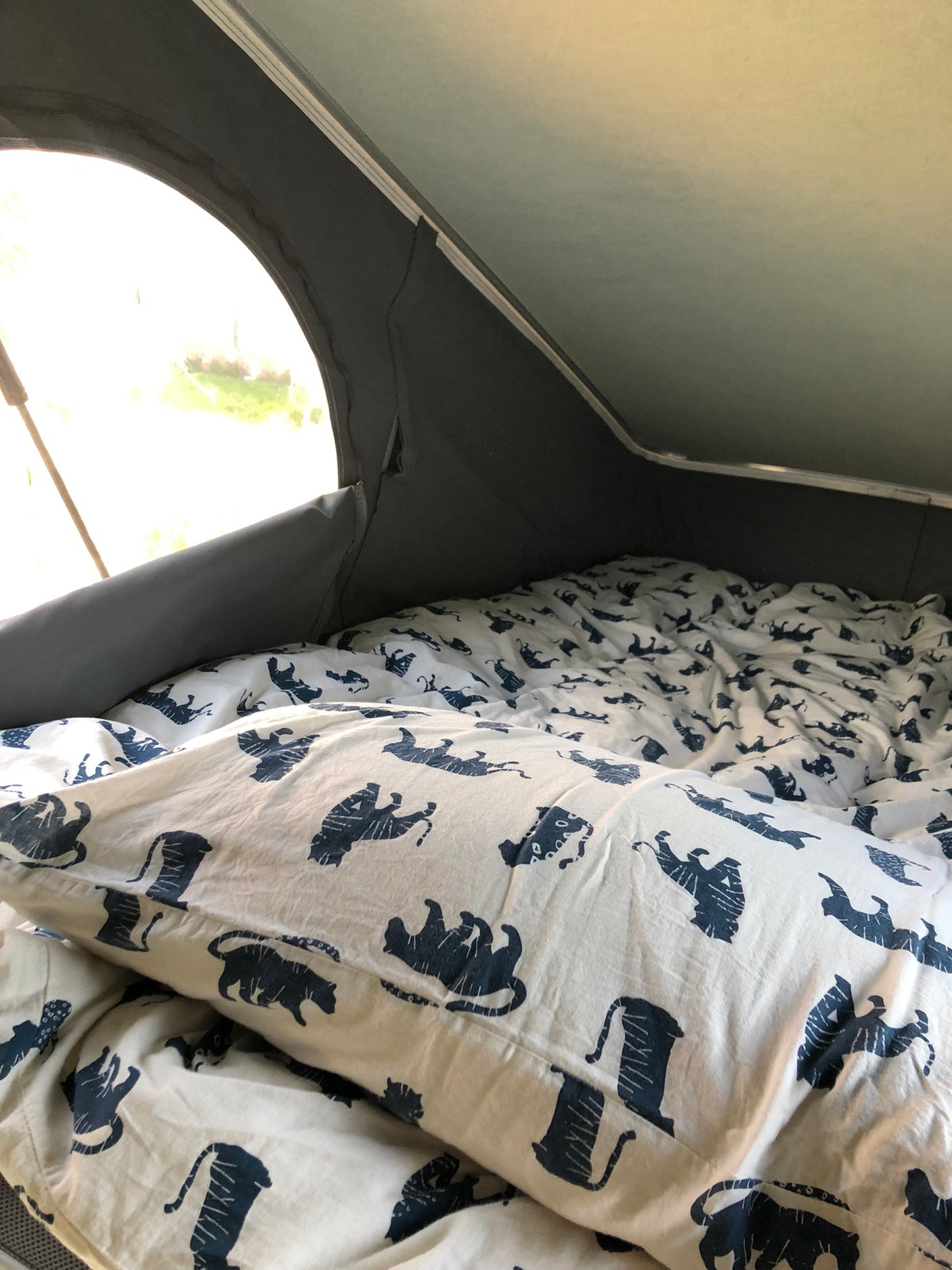 Cozy RV rental interior: A comfortable bed with distinctive white and blue tiger-patterned bedding, ready for adventure.