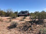 This RV rental is parked on a dirt road in a sunny desert with saguaro and cholla cacti, perfect for adventure.