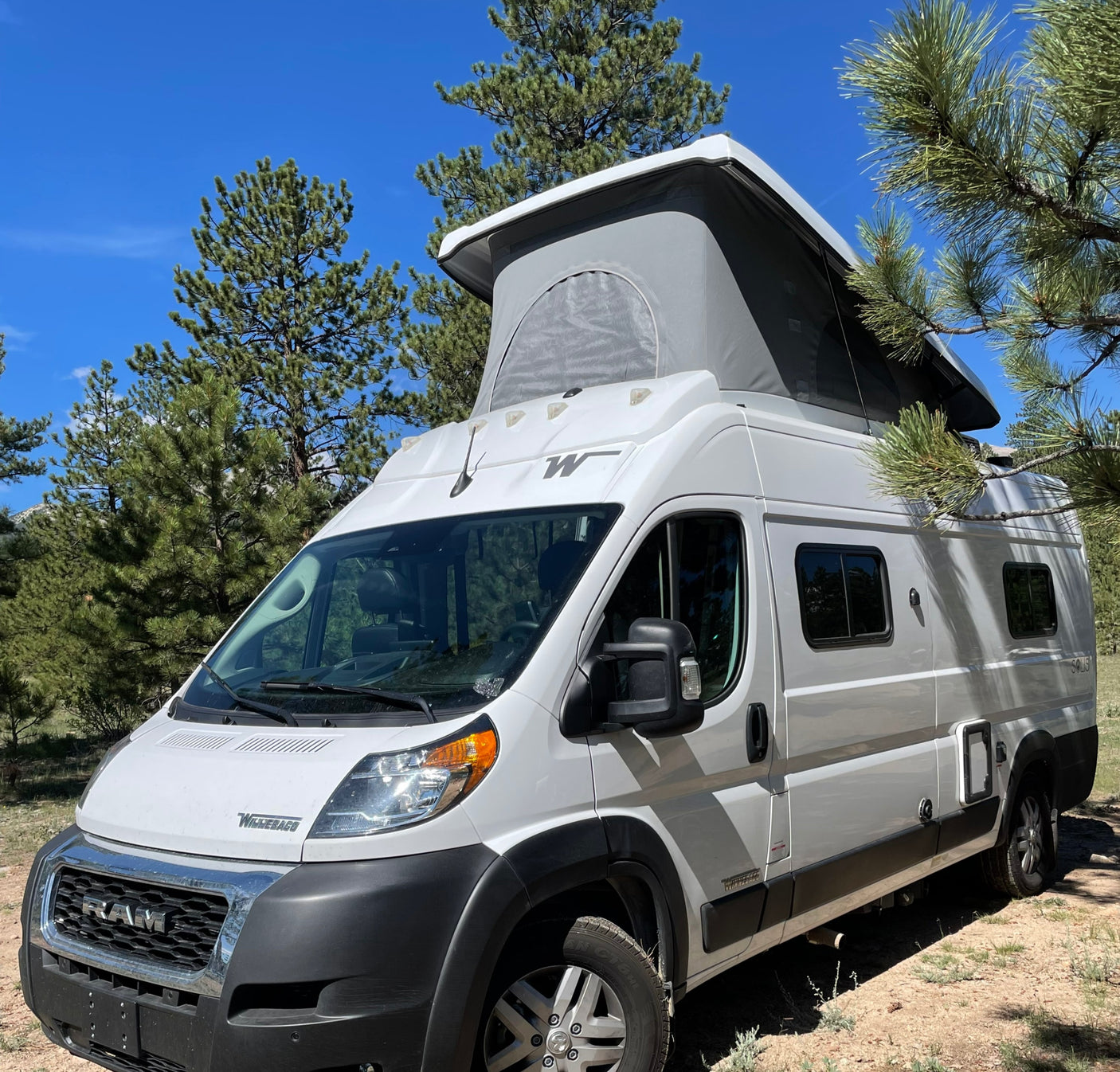 White Winnebago Solis pop-top RV rental parked among pine trees, ready for outdoor adventure.