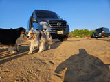 Two happy dogs on sandy terrain with a Mercedes Sprinter van, perfect for an RV rental adventure. Another van and blue sky visible.