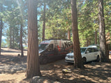 Two vehicles, including an RV rental van (Vanco Medical), parked among tall trees at a sunny lakeside campsite. Great for camping!