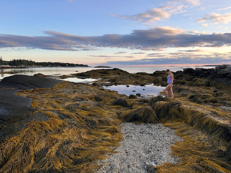 Discover serene coastlines! A girl explores tide pools & seaweed on rocky shores at sunset. Ideal for your next RV rental adventure.