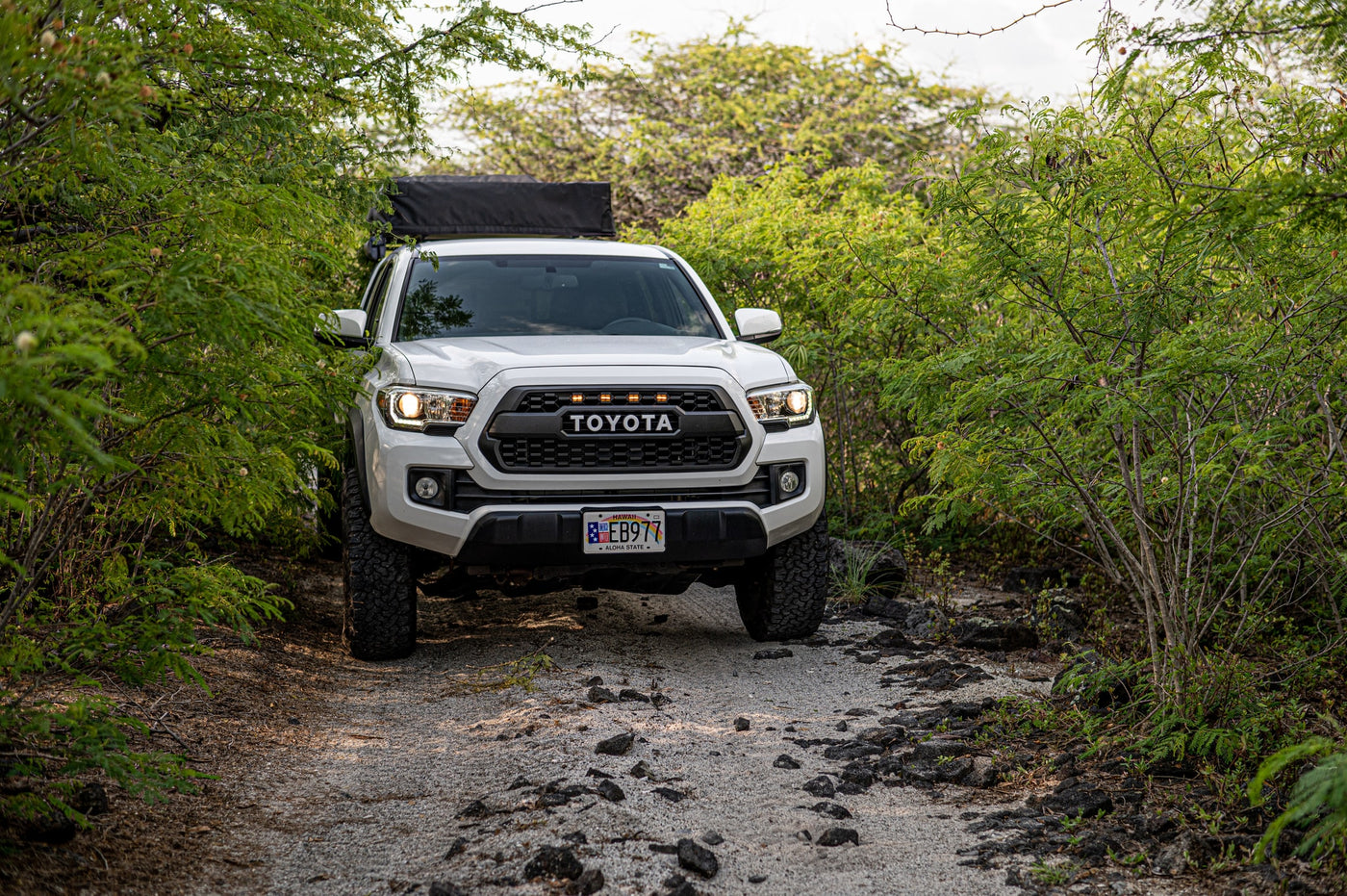 White Toyota Tacoma with rooftop tent, ideal for RV rental adventures, driving on a lush Hawaiian off-road path. — photo 6