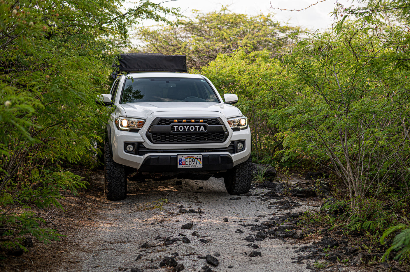 White Toyota Tacoma with rooftop tent, ideal for RV rental adventures, driving on a lush Hawaiian off-road path.
