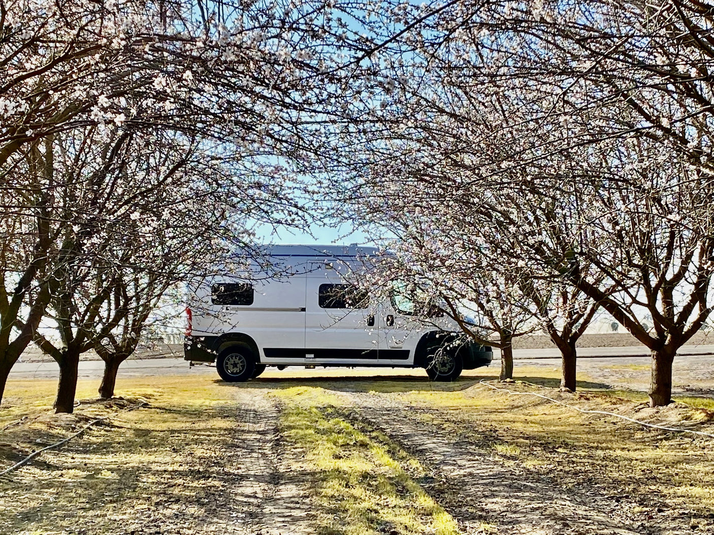 White RV rental framed by blossoming trees, perfect for a tranquil spring road trip.