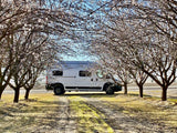 White RV rental framed by blossoming trees, perfect for a tranquil spring road trip.