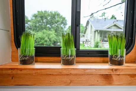 Bright green grass in 'Live, Laugh, Love' pots adorns the window ledge of a cozy RV rental.