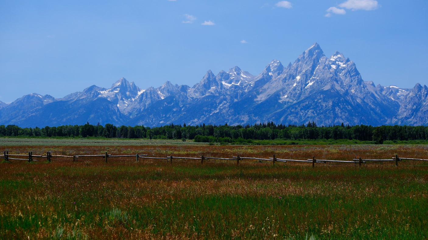 Majestic snow-capped mountains rise behind a dark forest and rustic fence in a vast, grassy field. Discover this beauty with an RV rental.
