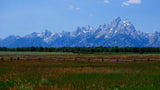 Majestic snow-capped mountains rise behind a dark forest and rustic fence in a vast, grassy field. Discover this beauty with an RV rental.