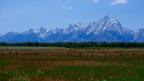 Majestic snow-capped mountains rise behind a dark forest and rustic fence in a vast, grassy field. Discover this beauty with an RV rental.