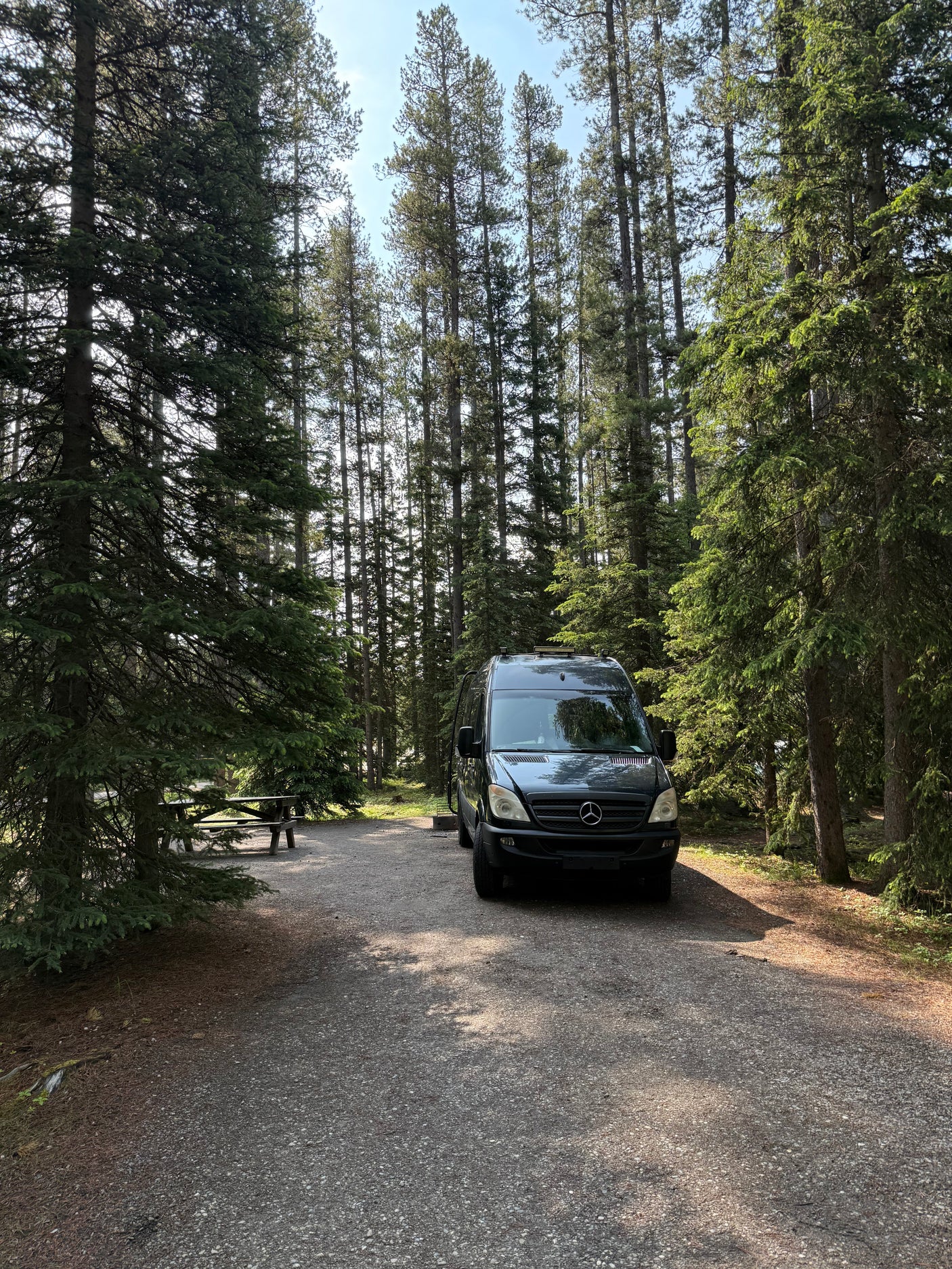 Dark RV rental van parked on a sunny gravel path in a serene pine forest, with a picnic table nearby.