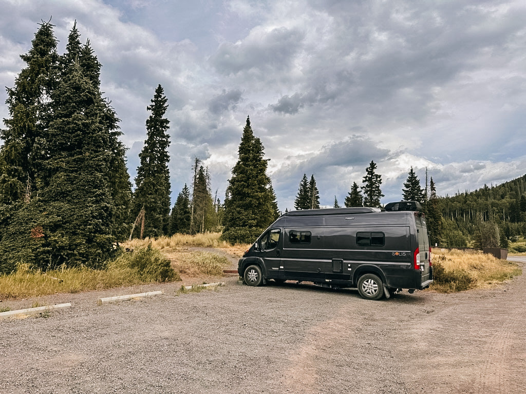 An RV rental camper van (dark gray) parked on a gravel lot near tall evergreen trees and mountains on a cloudy day.