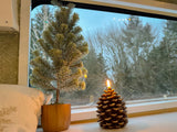 Cozy winter scene in an RV rental: miniature frosted tree & lit pinecone candle on a windowsill.