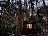 An RV rental pop-up camper glows warmly at night in a secluded forest campsite, tall trees silhouetted against the sky.