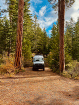 A white Mercedes Sprinter RV rental is parked in a serene forest clearing, framed by tall pine trees and a blue, cloudy sky.