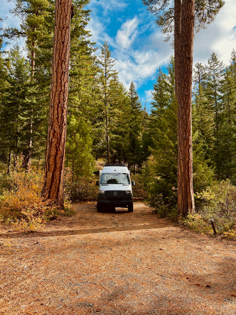 A white Mercedes Sprinter RV rental is parked in a serene forest clearing, framed by tall pine trees and a blue, cloudy sky.