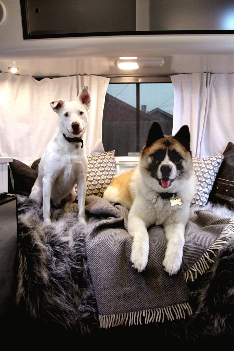  parked lakeside for a camping trip.|A beautiful Airstream travel trailer (perfect for an rv rental adventure) set up at a mountain campsite under the evening sky.|A sleek silver Airstream RV rental is parked at dusk under a cloudy sky — photo 7
