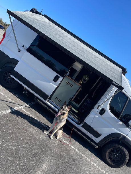 Happy dog on leash beside a white RV rental camper van with an extended awning, open side door, ready for adventure.