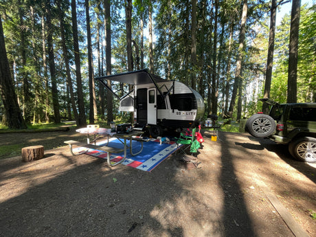 Serene campground with an rv rental, patriotic picnic mat, green Jeep, and small dog amidst sunlit trees.