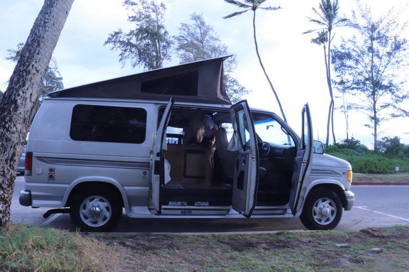 This Ford Econoline-style camper van, an ideal RV rental, has its doors open at a tropical park, revealing the comfy interior. — photo 5