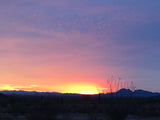 Vibrant desert sunset from an RV rental trip. Purple, pink, orange, and yellow sky over silhouetted mountains & desert plants.