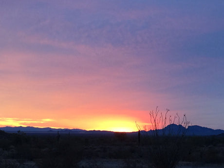 Vibrant desert sunset from an RV rental trip. Purple, pink, orange, and yellow sky over silhouetted mountains & desert plants.