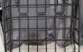 Thule cargo basket