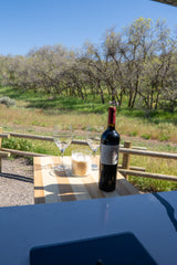 RV rental bliss: Red wine, two glasses, and a candle on a table, set against a green, treed landscape and clear blue sky.