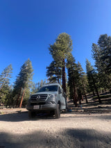 A grey Mercedes Sprinter rv rental van is parked on a dirt road amidst towering pine trees under a clear blue sky, ideal for outdoor trips.