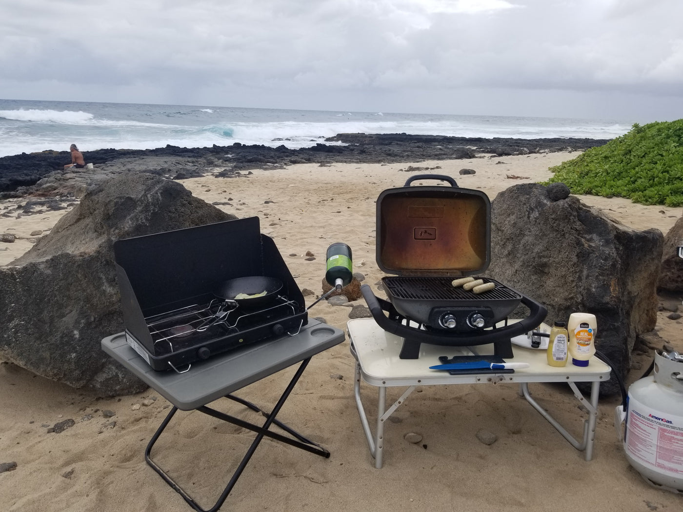Oahu Overlander — photo 8