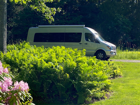Enjoy nature with an rv rental! A silver camper van is nestled among lush green ferns and trees on a sunny day.