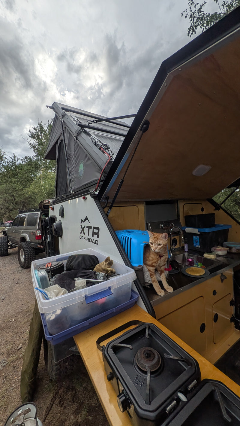 RV rental adventure: a ginger cat supervises the overland kitchen setup, complete with a rooftop tent for outdoor camping. — photo 4