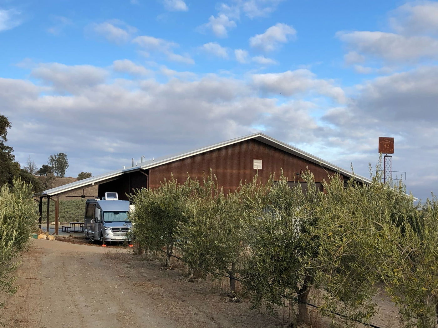  with olive trees lining a dirt road under a cloudy sky.|White RV rental parked beside a dormant vineyard with rolling hills & oak trees — photo 5