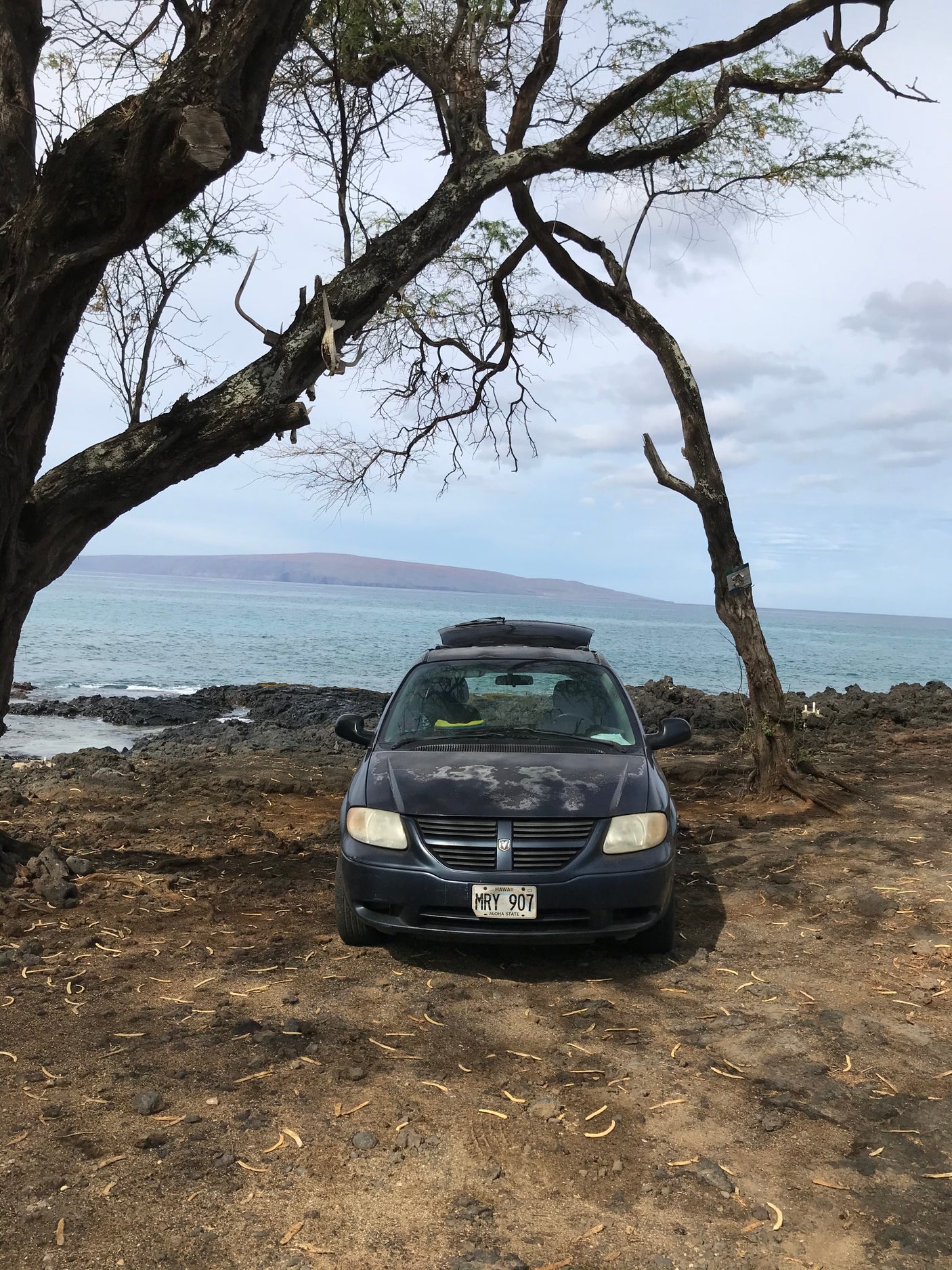 Dark minivan with roof carrier (an RV rental possibility) on Hawaii's rocky coast by the ocean, framed by trees.