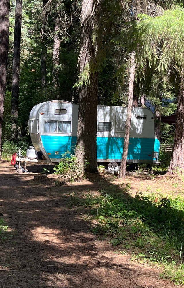 A charming vintage white and turquoise RV rental sits peacefully among tall trees in a sun-dappled forest, perfect for a nature escape.