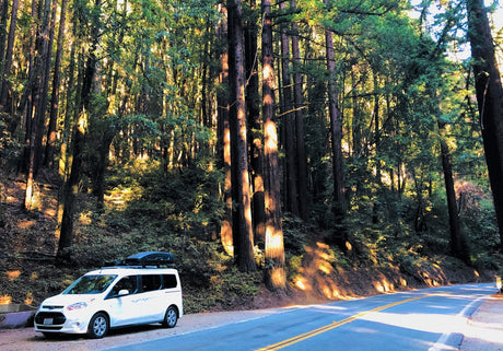 White RV rental van parked in a sunlit redwood forest, alongside a road.