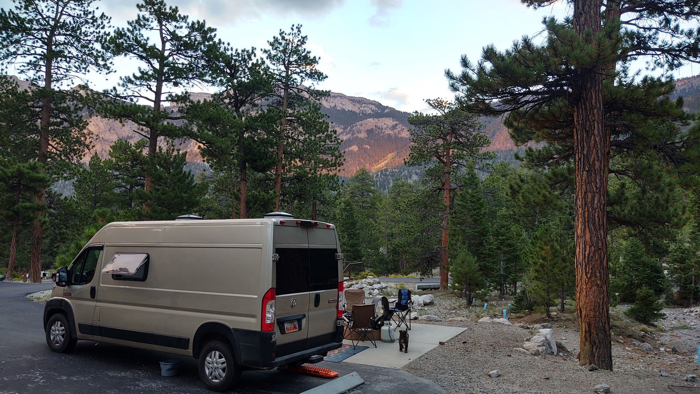 Scenic mountain camping with an RV rental. A tan camper van is parked among pine trees with mountains and a dog at the campsite.