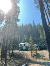 White and teal RV rental trailer with a car parked in a sunlit pine forest under a clear blue sky.