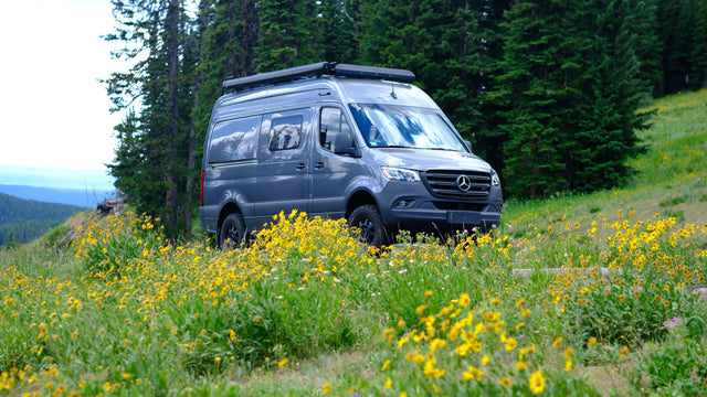 Adventure-ready rv rental: A grey Mercedes Sprinter van amidst blooming yellow wildflowers, with a forest and sky beyond.