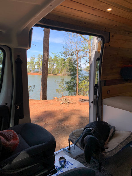 Serene RV rental view: cozy interior, sleeping dog, and a beautiful lakeside camping spot with a fire pit.