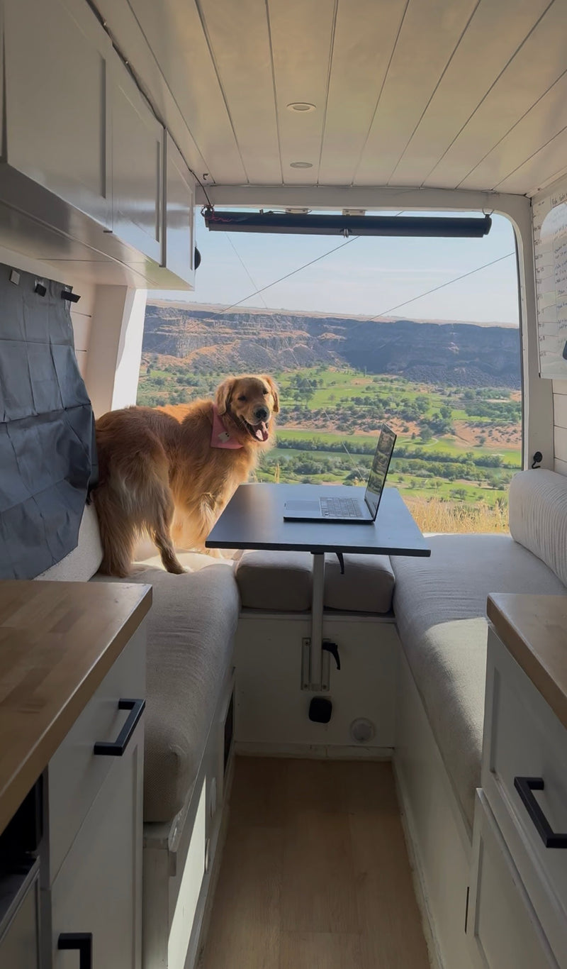 Custom Build Luxury Off-Grid Apartment on Wheels (Dog Friendly) — photo 13