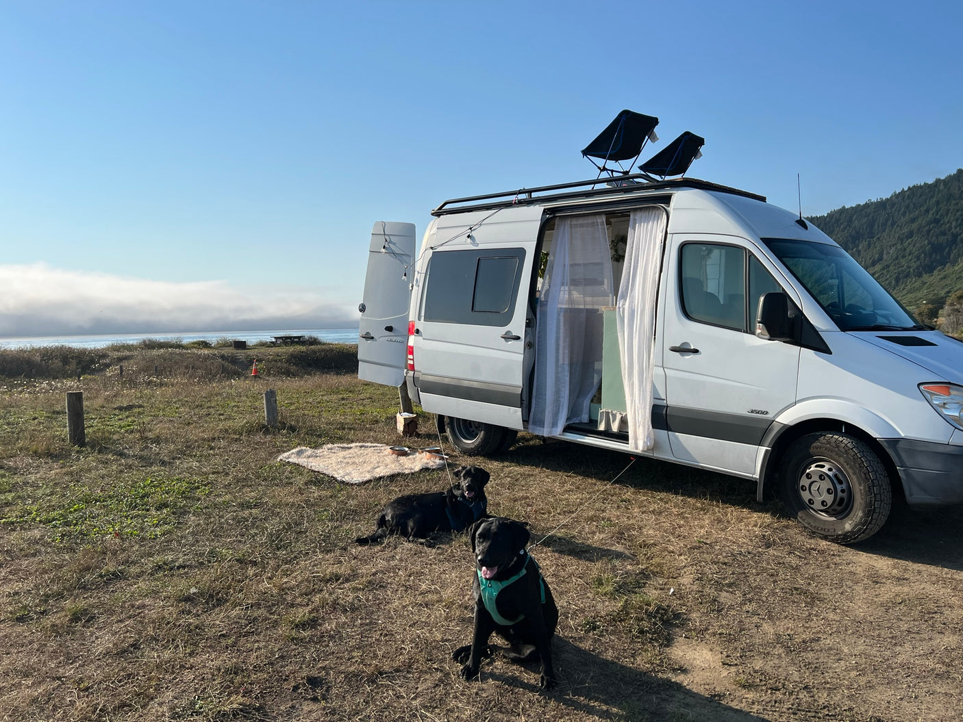 This white camper van, an ideal RV rental, is parked near a misty ocean with two black Labrador dogs.