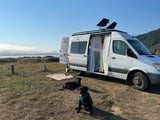 This white camper van, an ideal RV rental, is parked near a misty ocean with two black Labrador dogs.