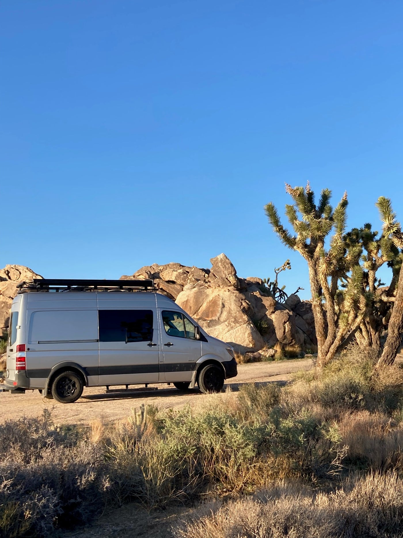 Silver Sprinter van (RV rental) parked among Joshua trees and rocks in a desert setting. — photo 21
