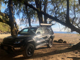 Black Toyota 4Runner SUV, a versatile alternative to an RV rental, parked under large trees on a sunny beach by the ocean.