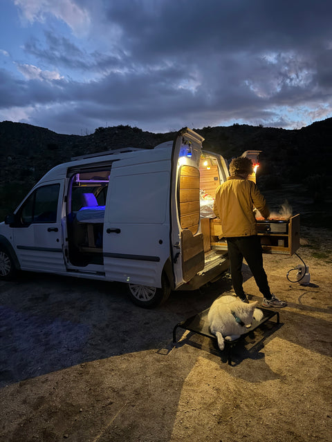 2010 Ford Transit Connect — photo 2