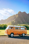 Honey Kombi - 1972 Volkswagen Westfalia