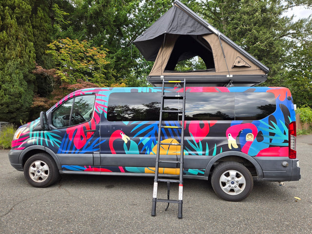 Colorful flamingo-themed RV rental with a pop-up roof tent & ladder. Your unique camper van adventure awaits!|Vibrant RV rental camper van with a tropical parrot wrap